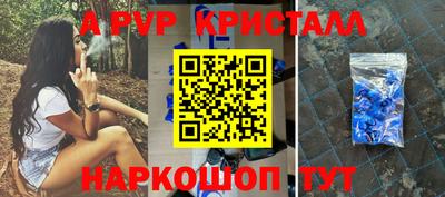 индика Гусев