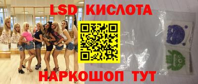 индика Гусев