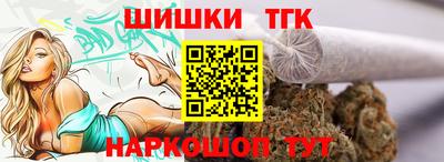индика Гусев