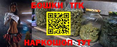 индика Гусев
