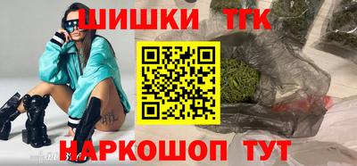 индика Гусев
