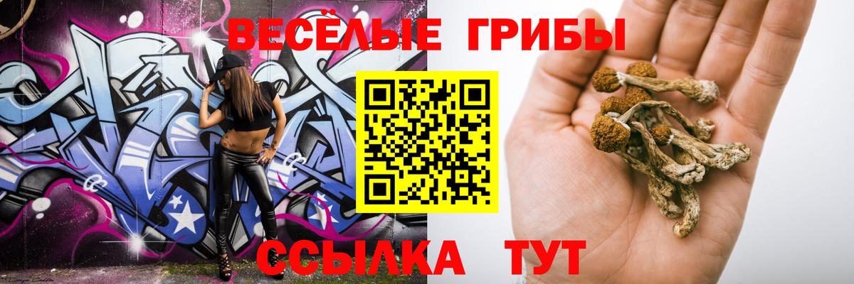 Новоалександровск  Галлюциногенные грибы Psilocybine cubensis  Вход с VPN 